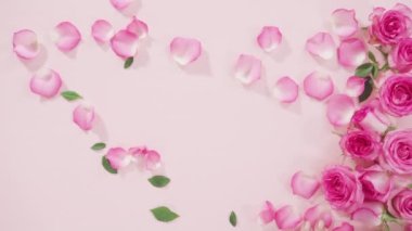 Pembe güller ve pembe arka planda gül yaprakları.