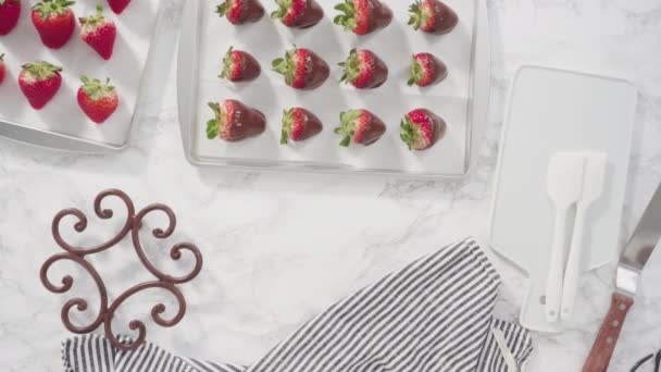 Schokolade Erdbeeren Mit Beträufelter Schokolade Garnieren — Stockvideo