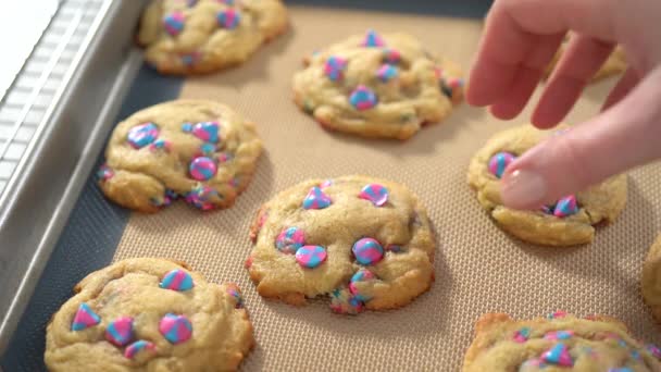 Närbild Bakade Enhörning Choklad Chip Cookies — Stockvideo