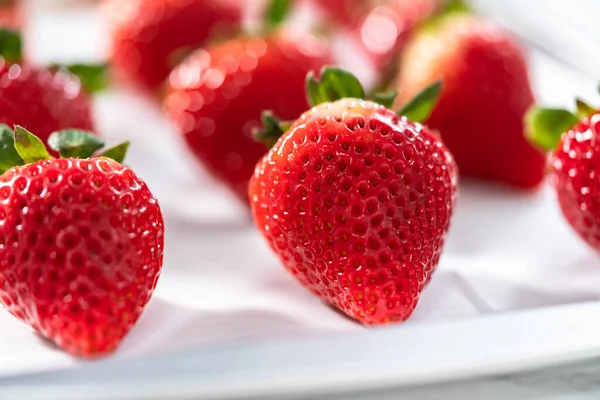 Ingrédient Pour Fabrication Fraises Trempées Chocolat Avec Des Fraises Biologiques — Photo