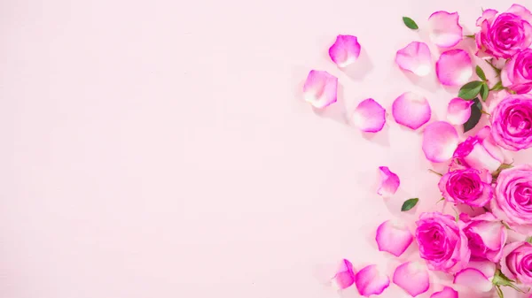 Flat Lay Fresh Pink Roses Pink Background — Stock Photo, Image