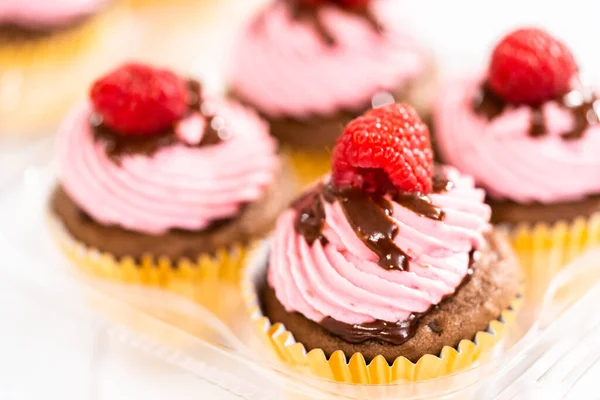 Packaging Gourmet Chocolate Raspberry Cupcakes Clear Plastic Boxes — Stock Photo, Image