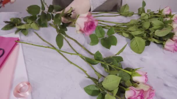 粉红玫瑰 枝干涂在漆成白色的木制背景上 — 图库视频影像