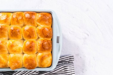 Fırında yeni pişmiş börekler..