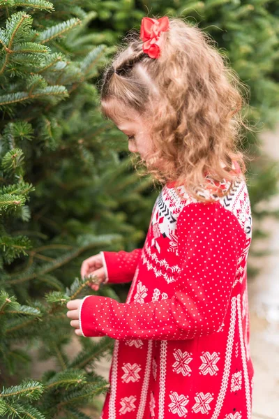 女の子で赤いドレスでクリスマスツリーファーム — ストック写真