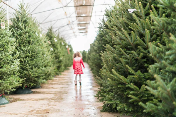 女の子で赤いドレスでクリスマスツリーファーム — ストック写真