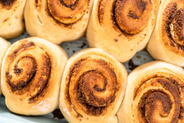 Rollos Canela Recién Horneados Una Bandeja Azul Para Hornear — Foto de Stock