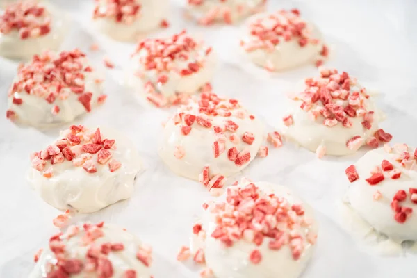 Dipping Chocolate Cookies Melted White Chocolate Prepare Peppermint White Chocolate — Φωτογραφία Αρχείου