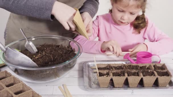 Liten Flicka Plantera Frön Inomhus Utsäde Startbricka Sin Hemskolning — Stockvideo