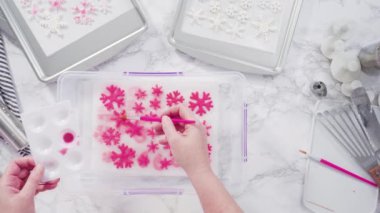 Gıda parıltısıyla sevimli kar taneleri boyamak.