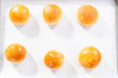 Parşömen kağıdıyla kaplanmış bir çarşafın üzerinde yumurta yıkama ile taze pişmiş yemek ruloları..