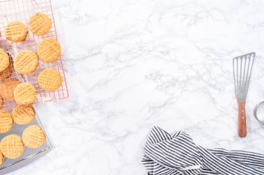 Düz yatıyordu. Fırında pişmiş fıstık ezmeli kurabiyeler..