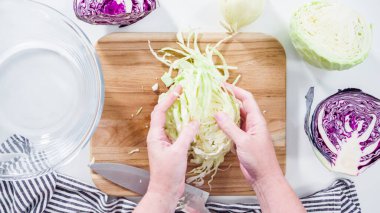 Düz yatıyordu. Adım adım. Ağaç kesme tahtasıyla organik lahana doğruyorum..