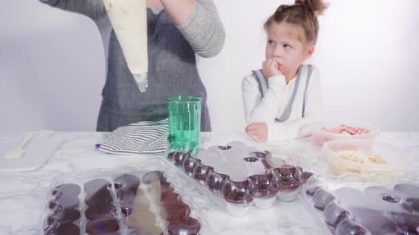 Niña Ayudando Plantar Semillas Propagador Semillas Con Tierra — Vídeos de Stock