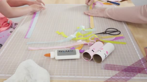 Hacer Unicornios Con Papel Rollos Vacíos Papel Higiénico — Vídeos de Stock