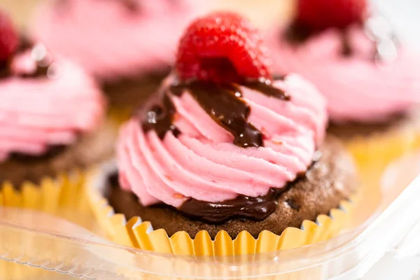 Verpackung Von Gourmet Schokolade Himbeer Cupcakes Transparente Kunststoffboxen — Stockfoto