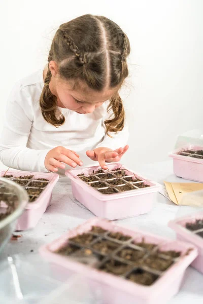 Petite Fille Plantant Des Graines Dans Plateau Démarrage Intérieur Pendant — Photo