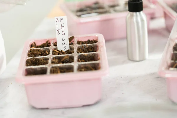 Planting seeds into seed starter tray for an indoor garden.