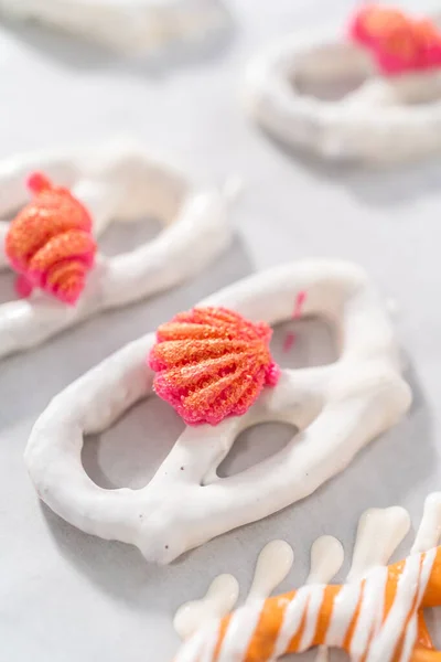 Gourmet Chocolate Covered Pretzel Twists Seashell Shaped Chocolates — Stock Photo, Image