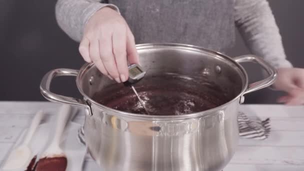 Schmelzen Von Schokoladenstücken Kochtopf Für Macadamia Nuss Fudge — Stockvideo