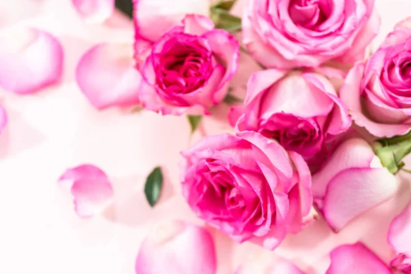 Roze Rozen Rozenblaadjes Een Roze Achtergrond — Stockfoto