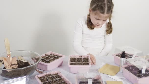 Niña Plantando Semillas Una Bandeja Inicio Semillas Durante Educación Hogar — Vídeos de Stock