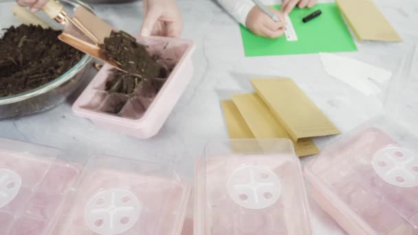 Niña Plantando Semillas Una Bandeja Inicio Semillas Durante Educación Hogar — Vídeos de Stock