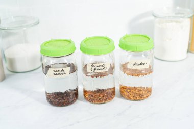 Birinci gün. Mutfak tezgahında filizlenen kapağı olan bir kavanozda organik filizler yetişiyor..