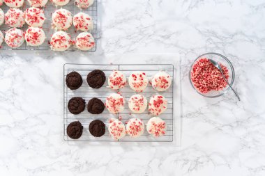 Düz yatıyordu. Naneli beyaz çikolatalı kurabiyeler hazırlamak için eritilmiş beyaz çikolataya çikolatalı kurabiyeler batırmak..