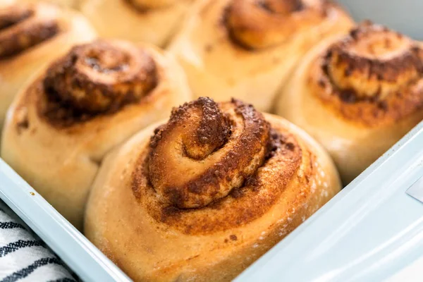 Vers Gebakken Kaneelbroodjes Een Blauwe Bakvorm — Stockfoto