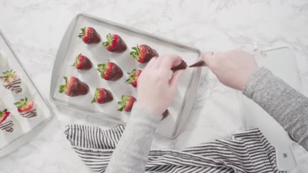 Dipping Organic Strawberries Melted Chocolate — Stock Video