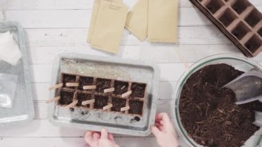 Tohum yayıcıya toprak ekmeye yardım eden küçük kız..