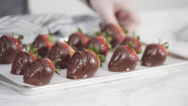 Dipping Organic Strawberries Melted Chocolate — Vídeos de Stock