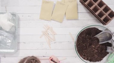 Tohum yayıcıya toprak ekmeye yardım eden küçük kız..