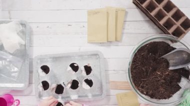 Tohum yayıcıya toprak ekmeye yardım eden küçük kız..