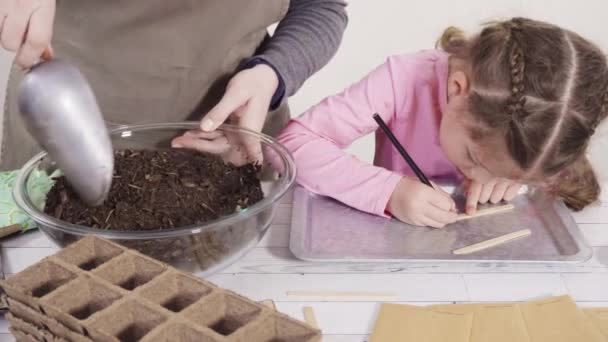 Κοριτσάκι Που Βοηθά Στη Φύτευση Σπόρων Πολλαπλασιαστή Σπόρων Χώμα — Αρχείο Βίντεο