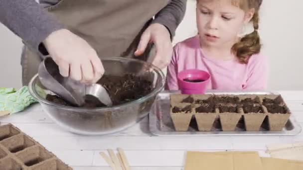 Niña Ayudando Plantar Semillas Propagador Semillas Con Tierra — Vídeos de Stock