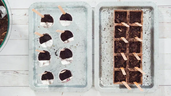 Flach Lag Samen Kleine Gefäße Pflanzen Einen Indoor Kräutergarten Anzulegen — Stockfoto