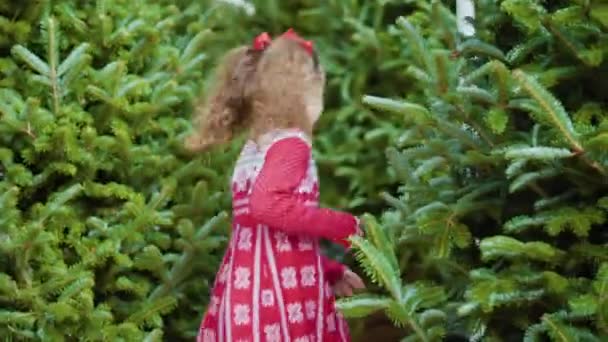 Niña Vestida Rojo Granja Del Árbol Navidad — Vídeos de Stock