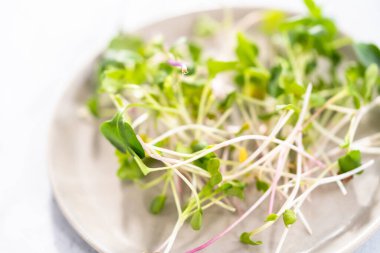 Bir kasede taze toplanmış turp mikroçerezleri..