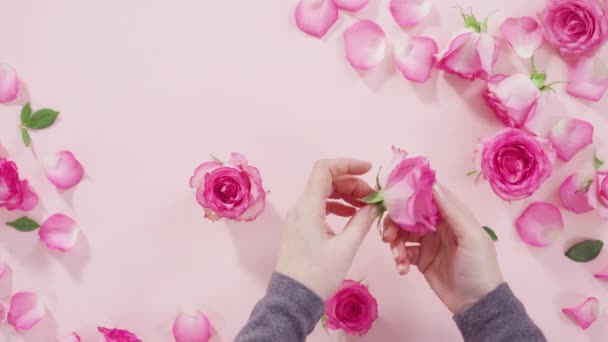 粉红玫瑰花瓣的背景 — 图库视频影像