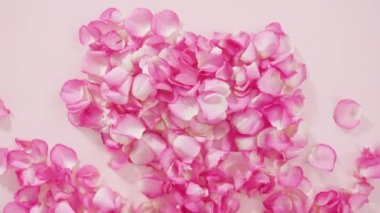 Pembe güllerin yapraklarının arka planı.