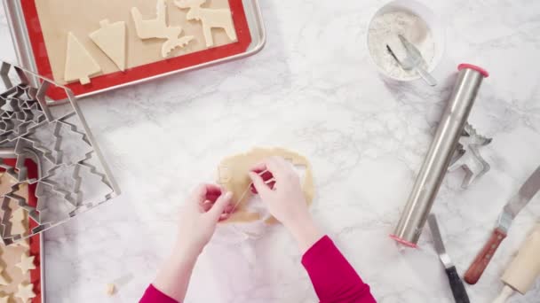 Making Sugar Cookies Kitchen — Wideo stockowe