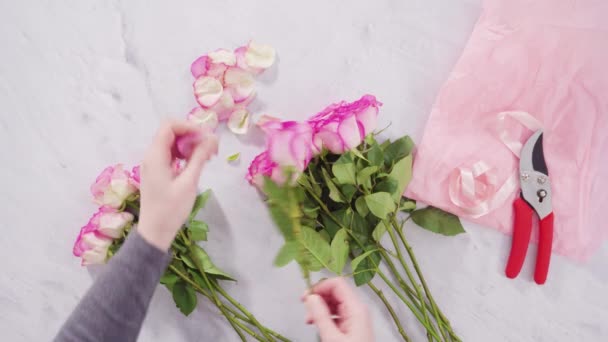 Pink Roses Stem Close Pink Background — Stockvideo