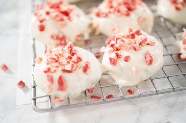 Naneli beyaz çikolatalı kurabiyeler hazırlamak için eritilmiş beyaz çikolataya çikolatalı kurabiyeler batırmak..