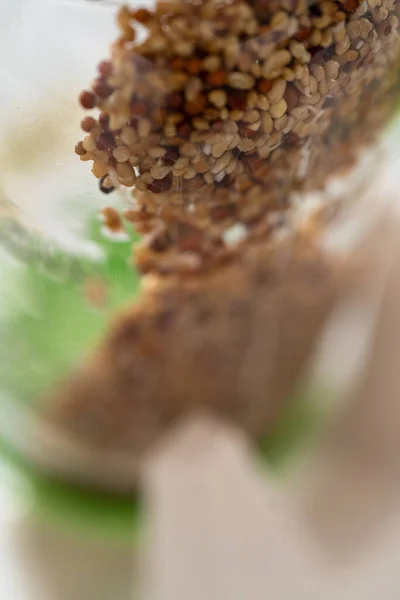 Giorno Crescere Germogli Biologici Vaso Muratore Con Coperchio Germogliante Sul — Foto Stock