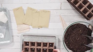 Düz yatıyordu. Küçük kız bir okul projesi için bitki tohumlarını küçük kaplara ekmeye yardım ediyor..