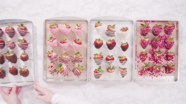 Time Lapse Flat Lay Step Step Variety Chocolate Dipped Strawberries — Video