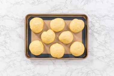 Düz yatıyordu. Silikon minderli fırın tepsisinde yükselen brioche hamuru.