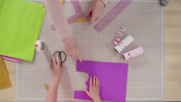 Ležel Krok Krokem Výroba Jednorožců Papíru Prázdných Rolí Toaletního Papíru — Stock video